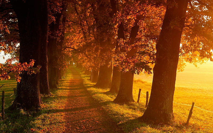 Paysage d'automne paysages, automne, nature, paysage, paysages, Fond d'écran HD
