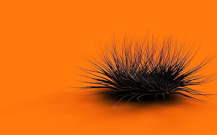 green airplant, orange, black, feathers, form, HD wallpaper