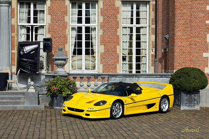 1996-1997, autos, f50, ferrari, italia, supercars, Fondo de pantalla HD