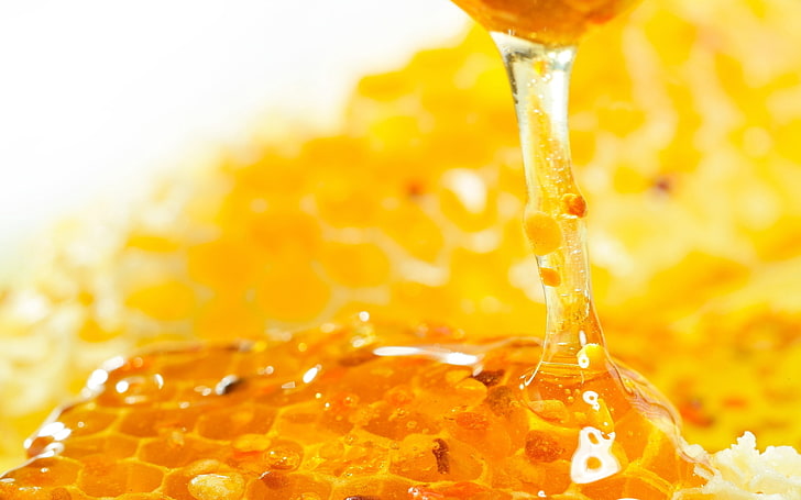 Honigbiene, Honig, süß, Wabe, HD-Hintergrundbild