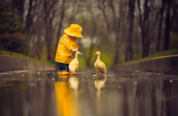 boy, child, cute, goose, little, raincoat, reflection, HD wallpaper