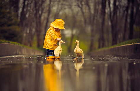 boy, child, cute, goose, little, raincoat, reflection, HD wallpaper HD wallpaper
