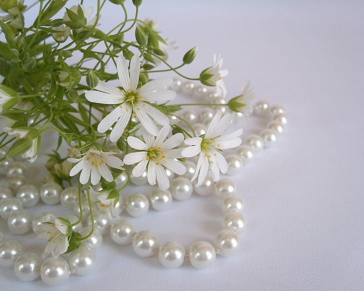 Flowers, White, Small, Beads, Pearls, HD wallpaper