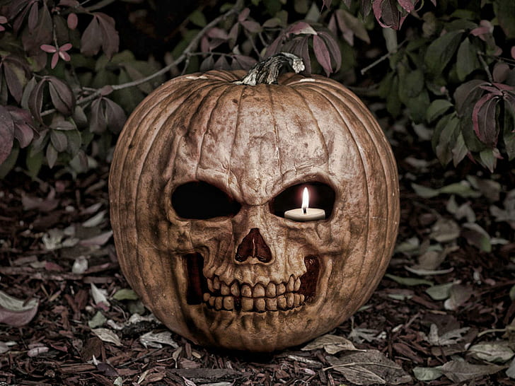 Scary Pumpkin Halloween, crânio marrom jack-o-lanterna, feriado halloween, dia das bruxas, assustador, abóbora, HD papel de parede