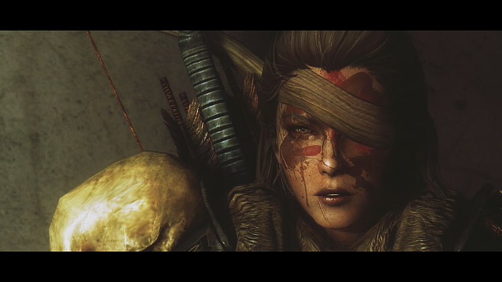 ilustracja kobieta wojownik, The Elder Scrolls V: Skyrim, krew, blizny, Tapety HD