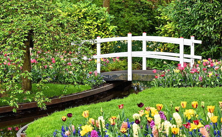 Маленький садовый пруд с мостом, весенние цветы HD Wallpaper, сезоны, весна, тюльпаны, красивые, зеленые, трава, сад, цветы, деревья, дизайн, фотография, растения, парк, Голландия, мост, гиацинты, нарциссы, весна, голландец, дорожка, деревянный мост, дорожки, HD обои