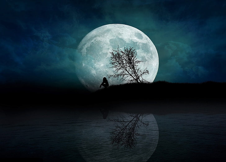 Alone, artistic, fantasy, girl, lonely, moon, night, silhouette, tree, HD  wallpaper | Wallpaperbetter