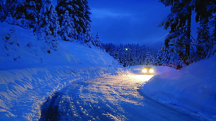 neige, bleu, hiver, nature, ciel, gel, arbre, gel, voiture, phares, nuit, seul, solitaire, Fond d'écran HD