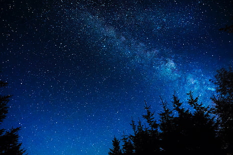 nocne niebo, gwiaździste niebo, noc, gwiazdy, blask, drzewa, Tapety HD HD wallpaper