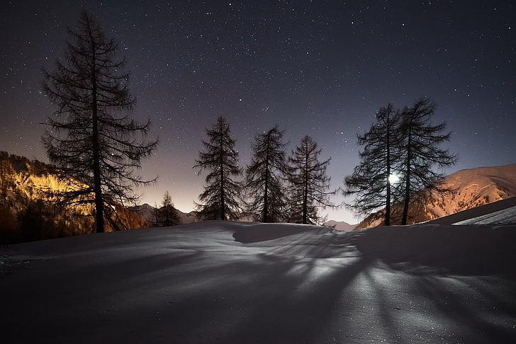 paisagem, noite, céu, estrelas, inverno, frio, neve, árvores, natureza, HD papel de parede
