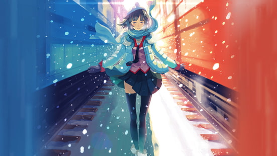 Anime, Senjougahara Hitagi, Monogatari-Serie, HD-Hintergrundbild HD wallpaper