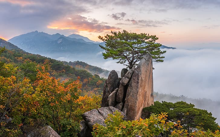 осень, облака, пейзаж, горы, природа, туман, дерево, скалы, рассвет, утро, лес, сосна, Южная Корея, заповедник, Пукхансан, HD обои