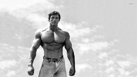 Atores, Arnold Schwarzenegger, HD papel de parede HD wallpaper