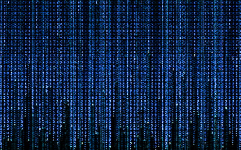 azul, código, matriz, Fondo de pantalla HD HD wallpaper
