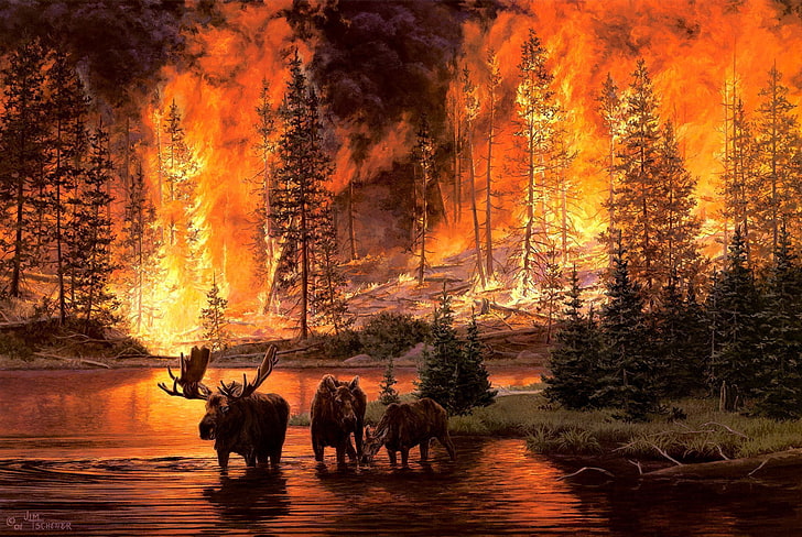 animals, art, artistic, fire, flames, forests, jim, jim tschetter, landscapes, moose, nature, paintings, situation, trees, tschetter, HD wallpaper