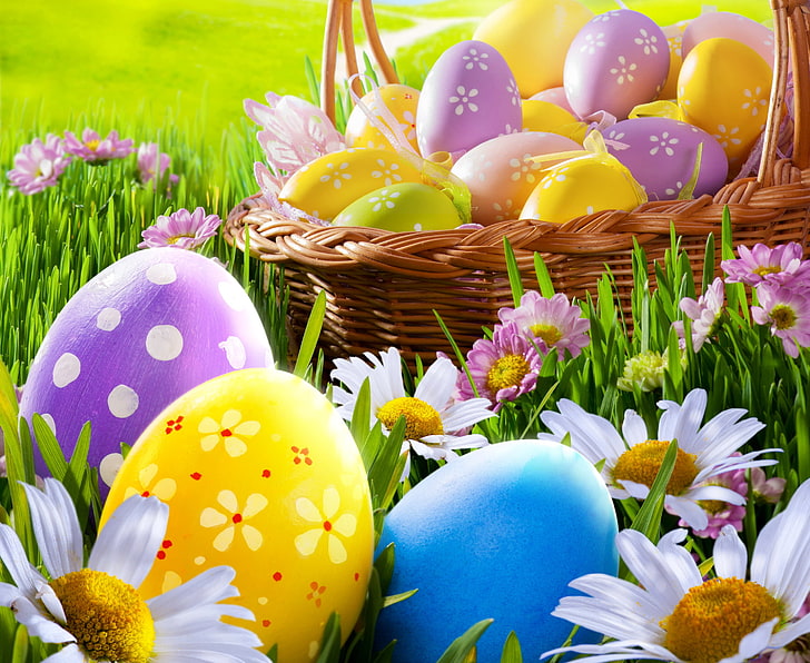 assorted-color egg lot, grass, flowers, chamomile, eggs, spring, Easter, sunshine, daisy, meadow, camomile, HD wallpaper