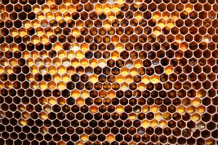 black and brown honeycomb, honeycombs, may honey, honey, HD wallpaper