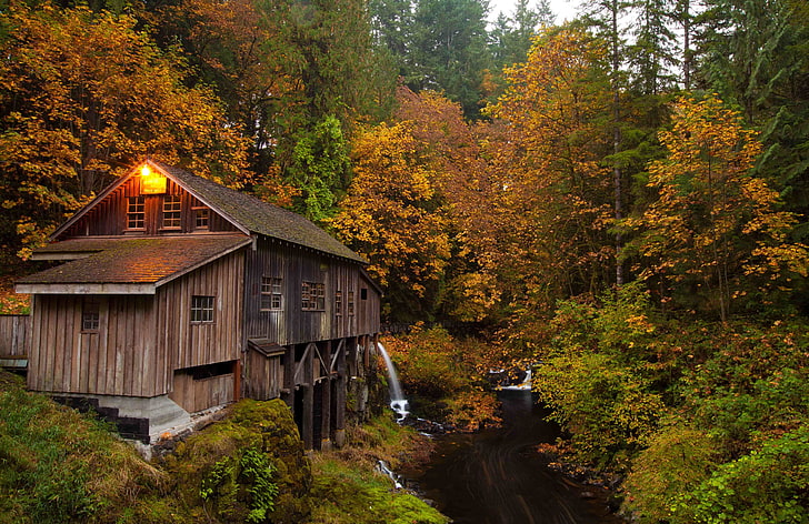 braunes Holzhaus, Wald, Wassermühlen, Herbst, Bäche, Bäume, HD-Hintergrundbild