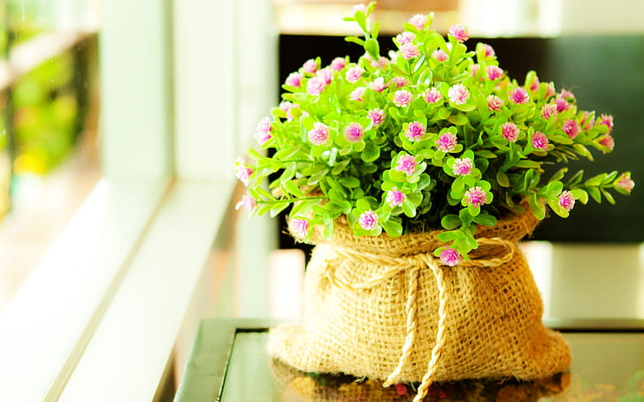 กระเป๋าดอกไม้ฤดูใบไม้ผลิสีเขียวภาพพื้นหลังธรรมชาติ, วอลล์เปเปอร์ HD