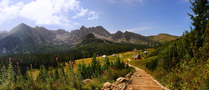 grünblättrige Bäume, Berge, Polen, Tatra-Gebirge, HD-Hintergrundbild HD wallpaper