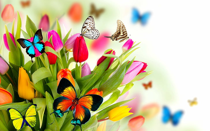 Artistic, Spring, Butterfly, Colorful, Colors, Flower, Tulip, HD wallpaper