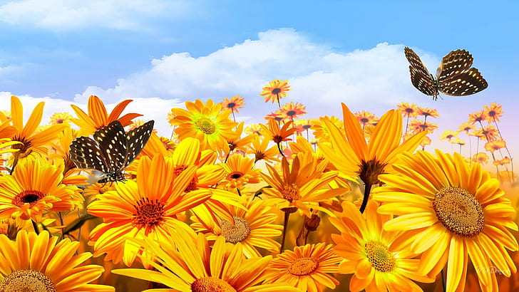Sunshine Bright, yellow, sunny, fall, papillon, butterfly, daisies, flowers, happy, shasta, gold, butterflies, clouds, HD wallpaper