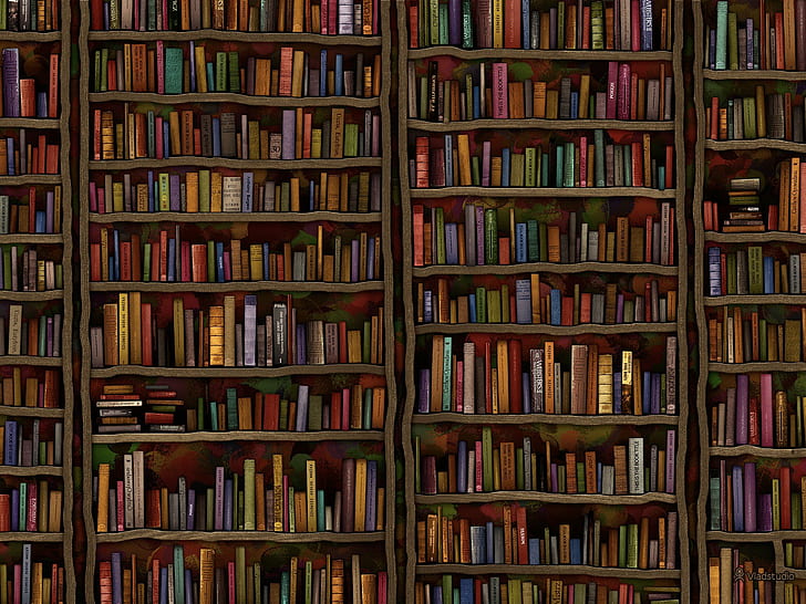 books, Bookshelves, library, minimalism, Vladstudio, HD wallpaper