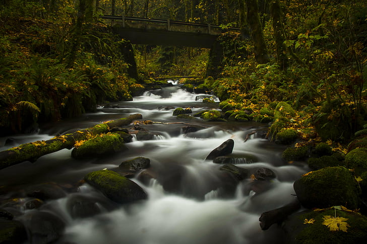 waterfalls in the middle of the forest, Bridal Veil, Creek, waterfalls, middle, forest, fall  color, stream, Columbia River Gorge, Oregon, Long Exposure, neutral density filter, nd filter, cpl, circular polarizer, nature, waterfall, river, tree, water, rock - Object, moss, outdoors, landscape, freshness, green Color, scenics, beauty In Nature, leaf, flowing Water, tropical Rainforest, flowing, plant, HD wallpaper