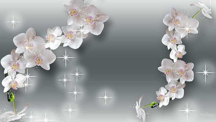 Sprinkle Silver Dust, firefox persona, stars, cherry blossoms, abstract, sparkles, silver, sakura, glow, japan, 3d and abstra, HD wallpaper