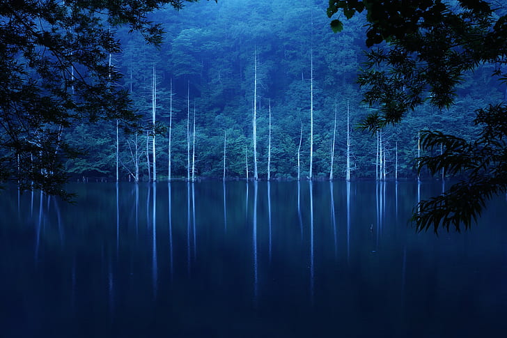 Forêt, pente, lac, arbres verts, forêt, arbres, brouillard, pente, nuit, lac, Fond d'écran HD
