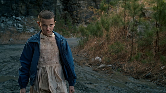 Netflix stranger things stagione 1, Stranger Things, Millie Bobby Brown, stagione 1, horror, migliore serie tv, Sfondo HD HD wallpaper