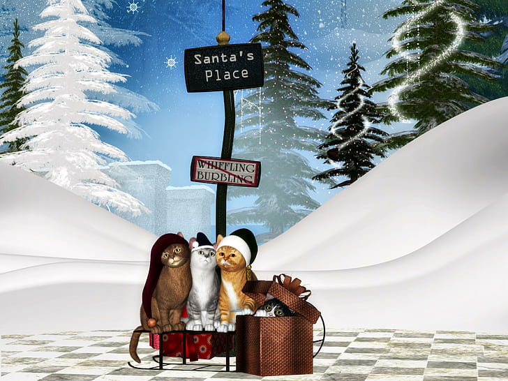 Place du Père Noël, arbre de Noël, blanc, neige, doux, joli, rêve, nuages, cadeau, chats, Noël magique, Fond d'écran HD