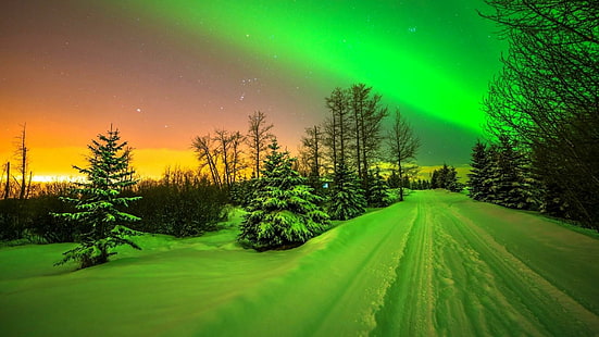 winter, aurora borealis, borealis, northern lights, road, snowy, night lights, night sky, HD wallpaper HD wallpaper