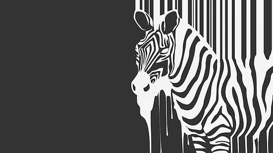 зебры, минимализм, монохромный, иллюстрации, простой фон, животные, HD обои HD wallpaper