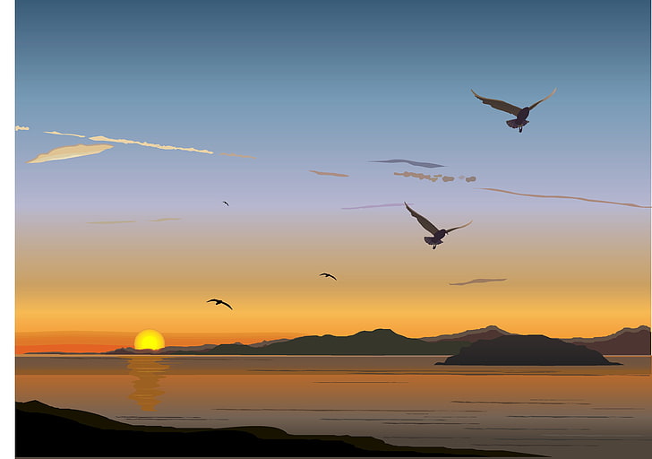 art vectoriel, oiseaux, coucher de soleil, art numérique, Fond d'écran HD