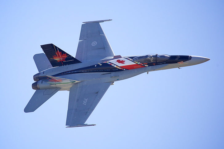 fighter, multipurpose, Hornet, McDonnell Douglas, CF-18, HD wallpaper