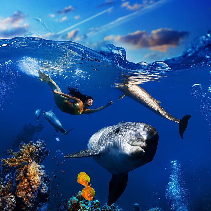 sea, wave, the sky, clouds, fish, bubbles, mermaid, corals, dolphins, underwater world, under water, floats, HD wallpaper