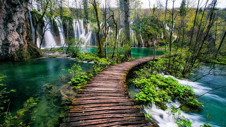 travel, wood, path, national park, plitvice lakes national park, stream, spring, leaf, tree, lakes, water, water resources, watercourse, body of water, vegetation, green, nature reserve, waterfall, croatia, HD wallpaper