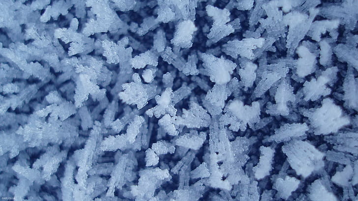 霜氷マクロ冬HD、自然、マクロ、冬、氷、霜、 HDデスクトップの壁紙