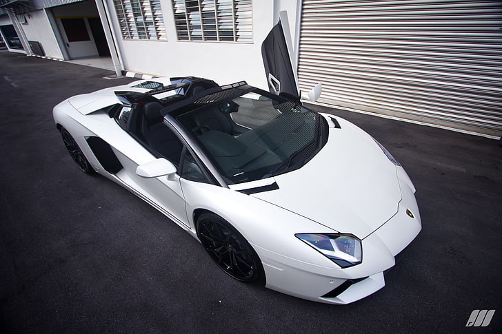 branco Lamborghini Aventador cupê conversível, lamborghini, aventador, roadster, luxo, malásia, supercarro, exótico, branco, HD papel de parede
