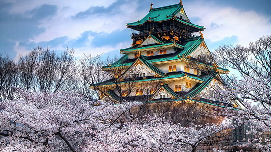 緑と白のコンクリートの家イラスト、桜、日本、大阪城、 HDデスクトップの壁紙 HD wallpaper