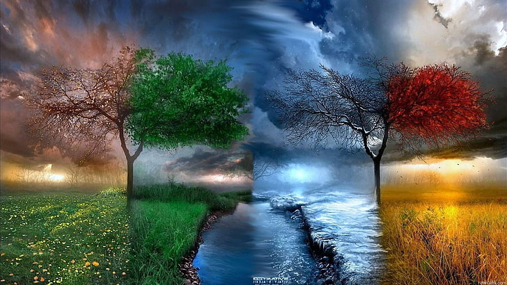 trees in any weather digital wallpaper, seasons, spring, summer, winter, HD wallpaper