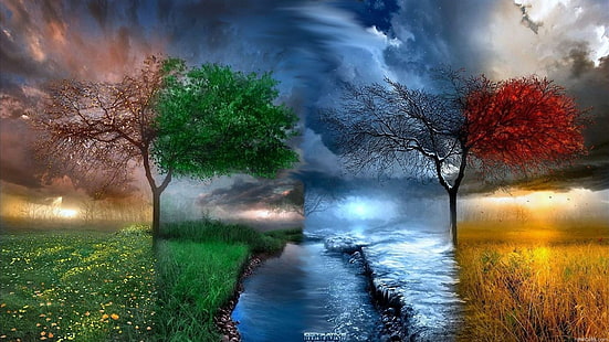 дървета при всяко време цифрови тапети, сезони, пролет, лято, зима, HD тапет HD wallpaper