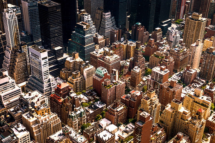 höghus, flygfotografering av byggnader under dagtid, stadsbild, arkitektur, byggnad, stad, gata, New York City, USA, skyskrapa, hustak, träd, fågelperspektiv, HD tapet