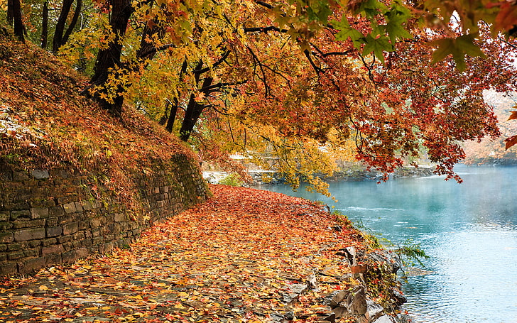 Есен в градината Летният дворец в Пекин Китай Червено и жълто паднали листа Езеро Есенен пейзаж Ultra Hd Tv Wallpaper за работен плот 3840 × 2400, HD тапет