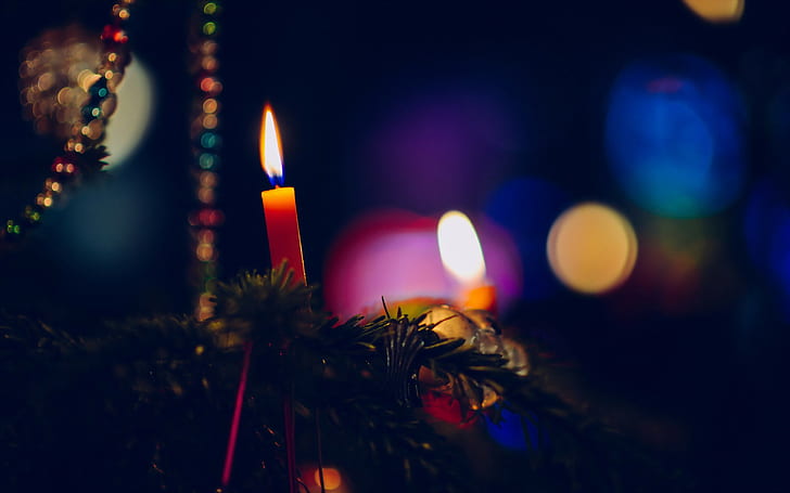 New Year celebration, tree, candle, celebration, Holiday, New Year, 2015, HD wallpaper