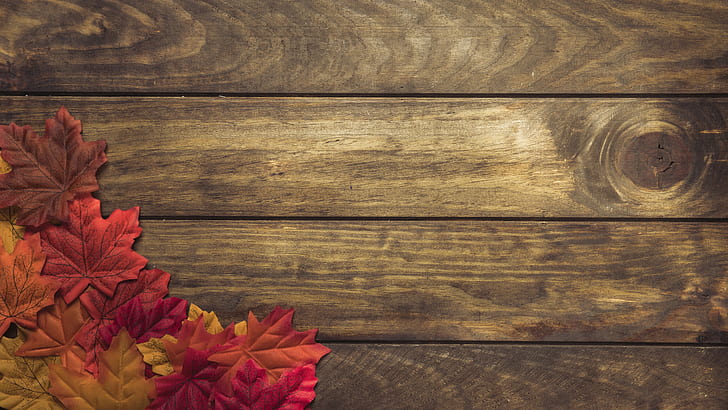 autumn, leaves, background, tree, colorful, Board, wood, maple, HD wallpaper