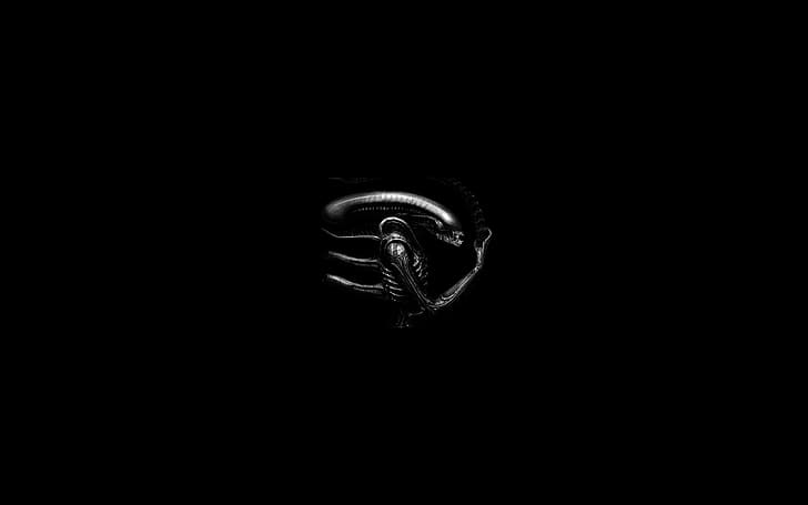 Xenomorph, Alien (film), monochrome, Fond d'écran HD