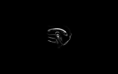 Xenomorph ، Alien (فيلم) ، أحادي اللون، خلفية HD HD wallpaper
