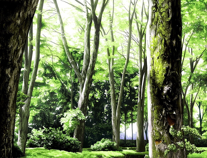 зелени листни дървета цифрови тапети, аниме, пейзаж, гора, слънчева светлина, HD тапет
